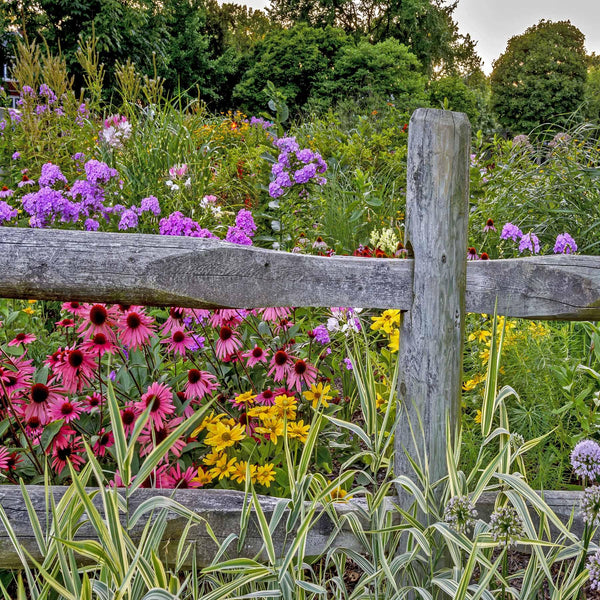 Pollinator Booster 2.0 - Revive Outdoors