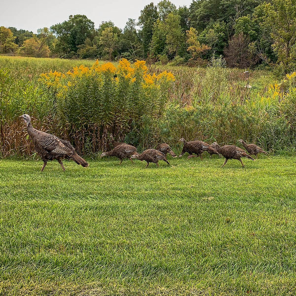 Game Bird Nesting Cover - Revive Outdoors