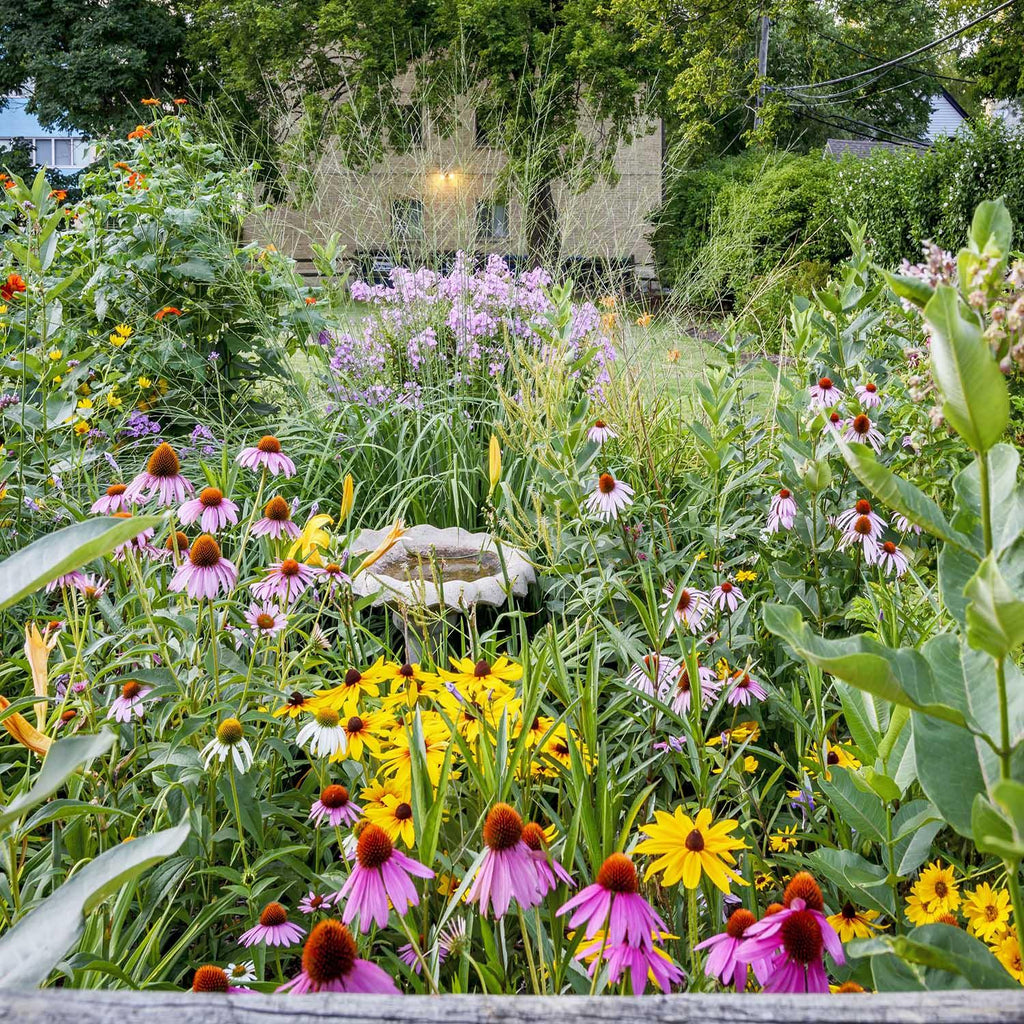 Your Guide To Gardening With Native Plants