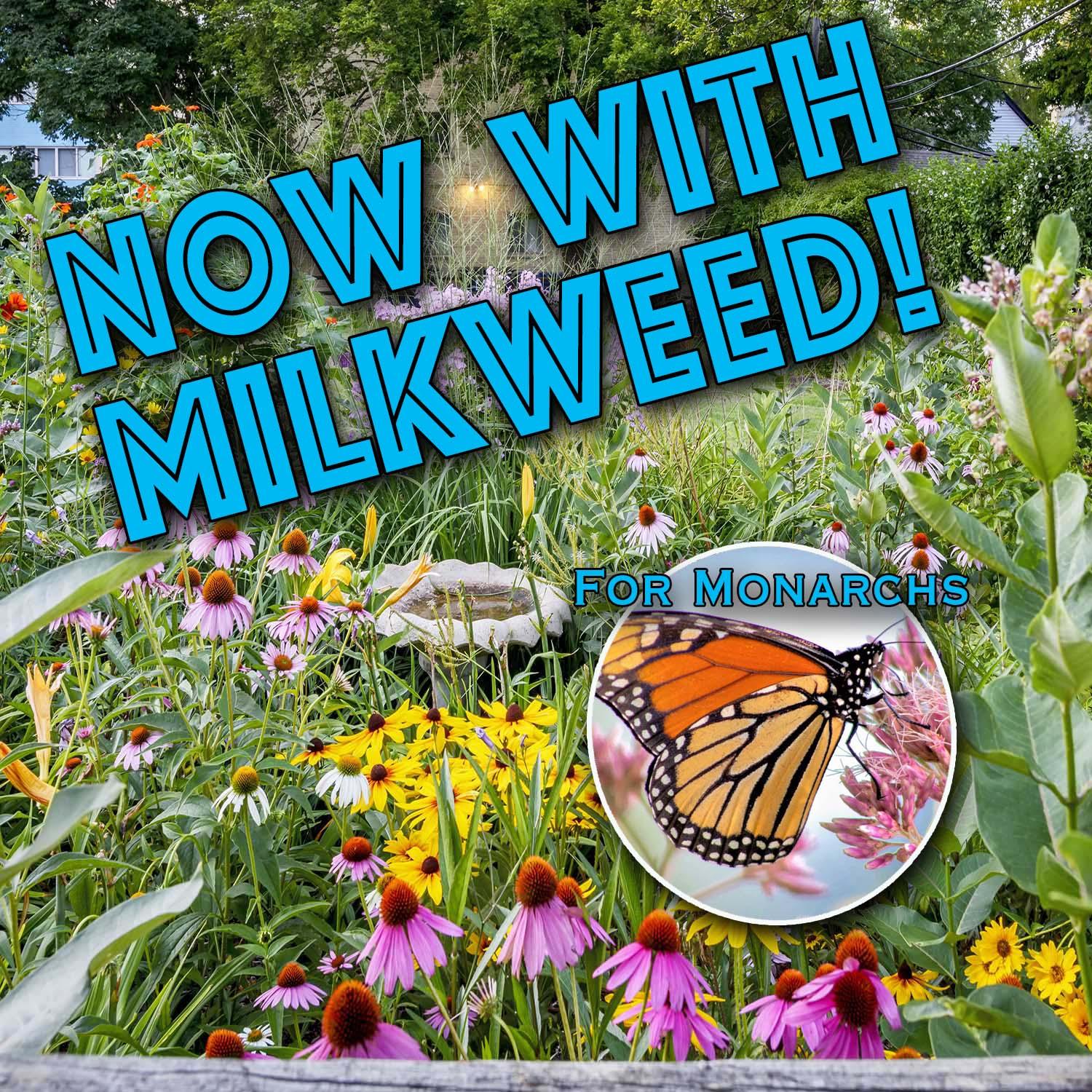 Pollinator Booster w/Milkweed - Revive Outdoors